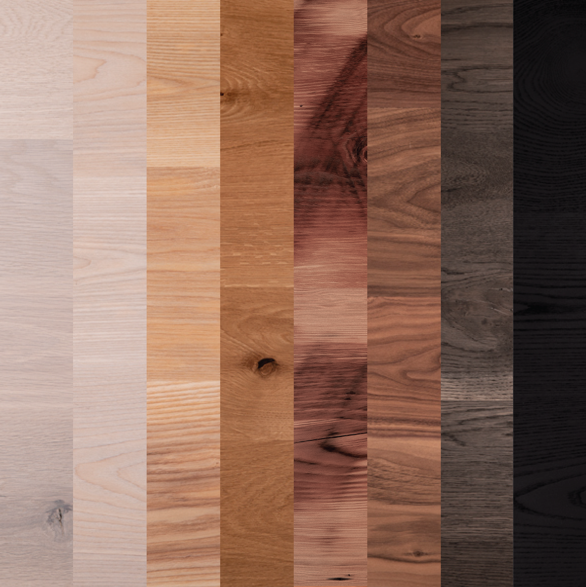 Natural Wood Samples