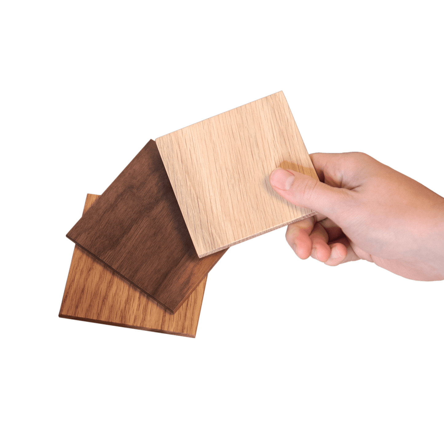 Natural Wood Samples